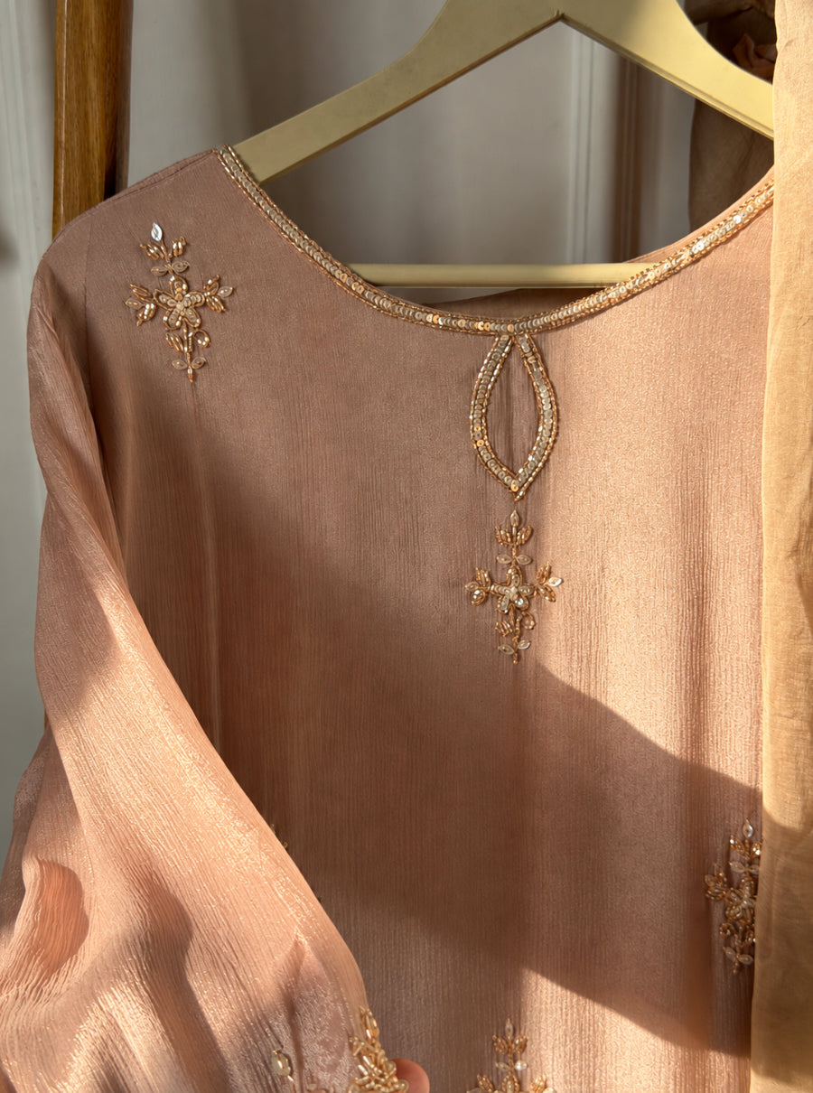 Anaya Zardozi Chinon Suit Set