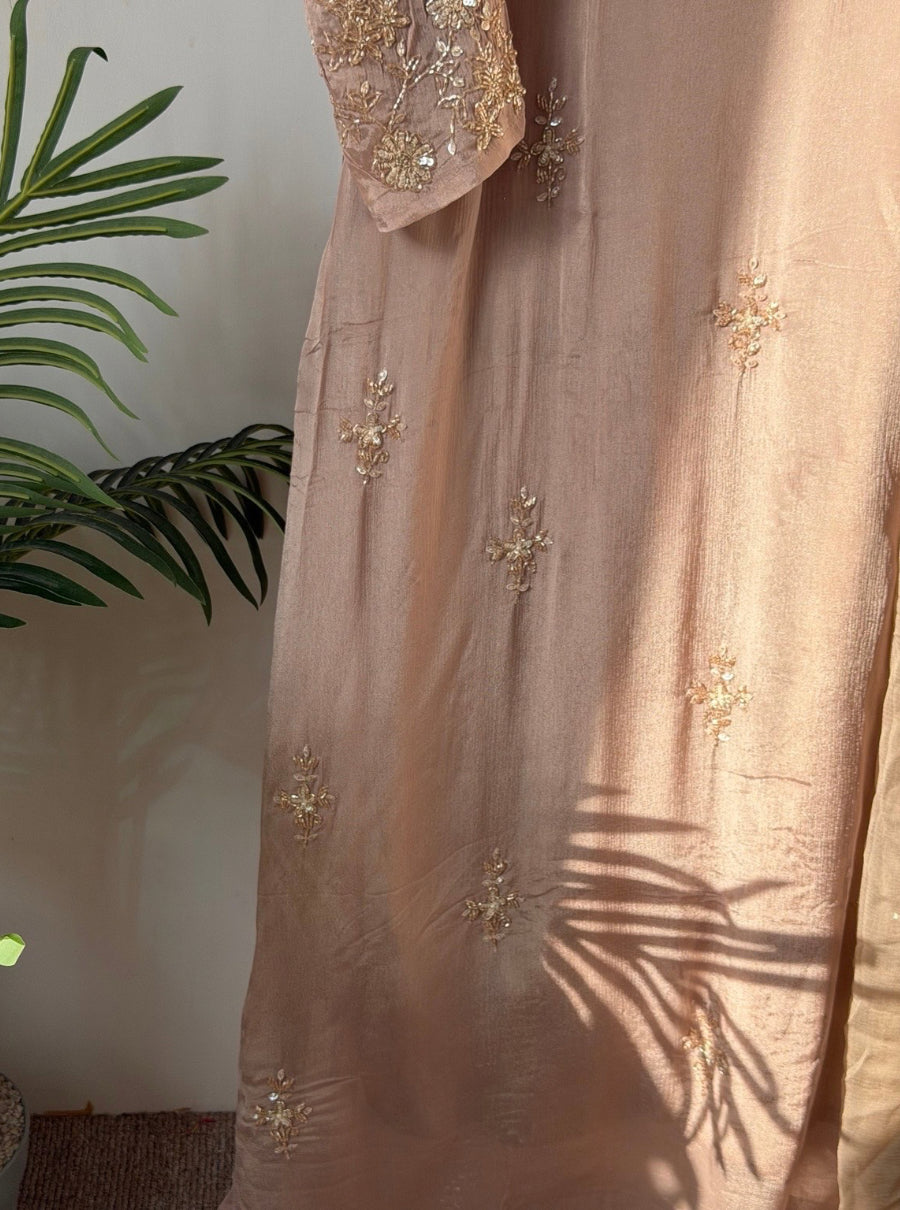 Anaya Zardozi Chinon Suit Set